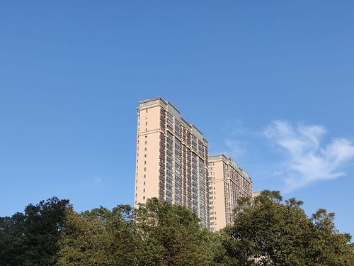 建筑學家提醒 一樓和頂樓不是最坑，這“三個樓層”才真正要想辦法避開